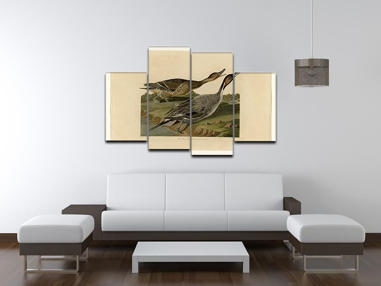 A beautiful 4 split panel canvas artwork featuring a Pin-tailed Duck, showcasing vibrant colors and intricate details.